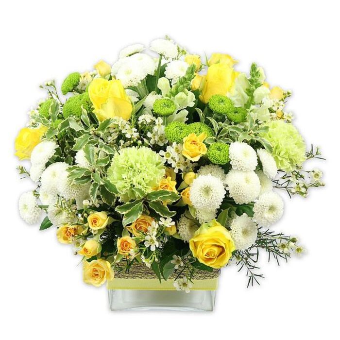 A beautifully composed floral display sits in a low, clear rectangular glass vase, its full, domed mass of blossoms creating the impression of a miniature garden gathered straight into the home. The colour story is simple yet striking: warm, buttery yellows, cool, bright whites, and vivid lime greens work together to create a sense of freshness and quiet celebration. Large yellow roses, with velvety, spiralling petals, anchor the design, each bloom at a slightly different stage of opening to suggest natural movement. Around them, smaller yellow spray roses nestle, their multiple buds catching the eye and adding playful texture. White pompom chrysanthemums form rounded, cushion-like shapes that feel soft and inviting, while lime green button chrysanthemums dot the bouquet with small, globe-shaped accents, like beads of colour. Larger, soft pale green flowers, likely ruffled chrysanthemums or green carnations, lend a frilly, cloud-like structure that breaks up the more defined forms. Lush, layered foliage in dark and mid-green tones, along with some variegated leaves edged with white, creates a deep, verdant base, much like the mixed planting you might see in a well-tended garden near Island Gardens or along the riverside paths of the Isle of Dogs. Tiny white filler flowers, starry and delicate, are threaded throughout the composition, making the arrangement feel airy despite its generous volume. Around the centre of the vase, a rustic band of woven natural material, perhaps raffia or bark, is wrapped neatly and finished with a smooth lime green ribbon, echoing the green tones in the blooms. Photographed against a clean white background, this bouquet conveys joy, renewal, and thoughtful care, perfectly suited to mark a birthday, a new home, or a simple "thinking of you" gesture for someone local.